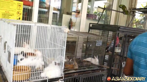 Узкоглазая девушка наслаждается сексом аж извиваясь в постели